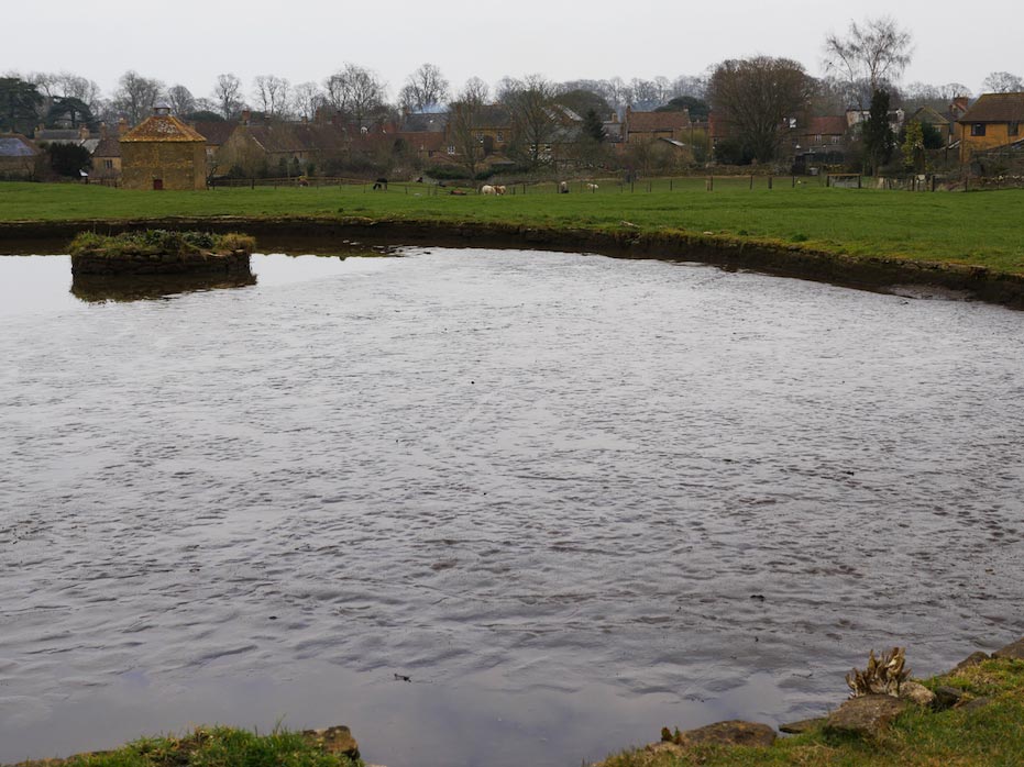 Silted-up ancient stewpond at Abbey Farm, Montacute, before SRA-funded de-silting work