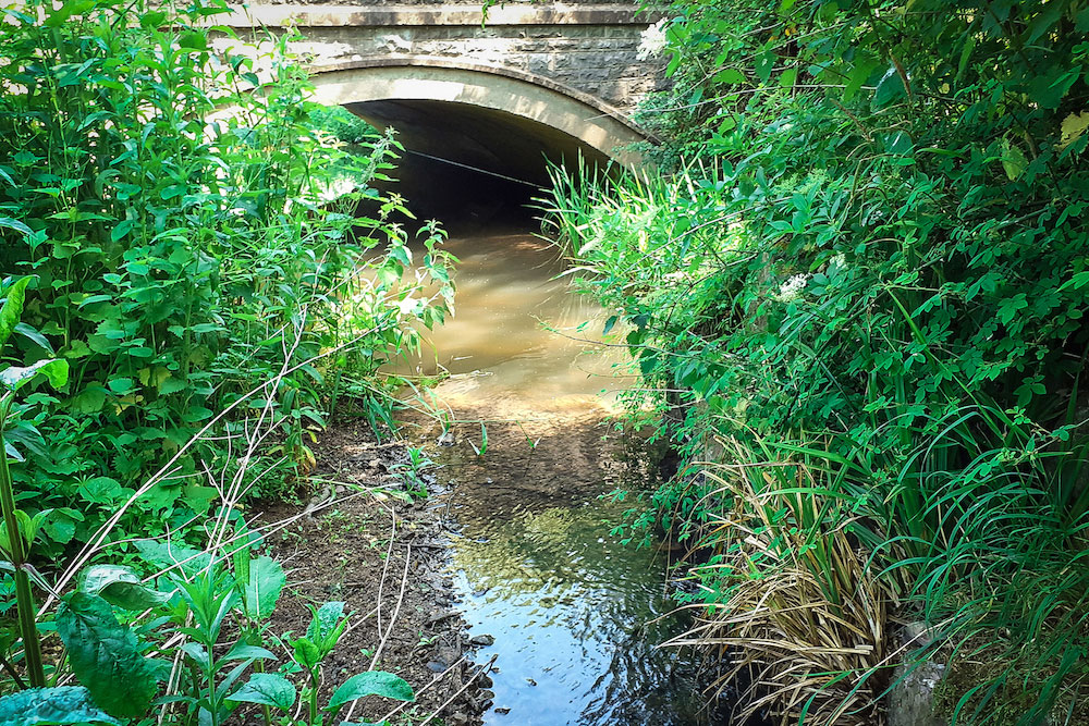 A bridge, a channel, with a scour hole between them, and vegetation growing either side of the channel.