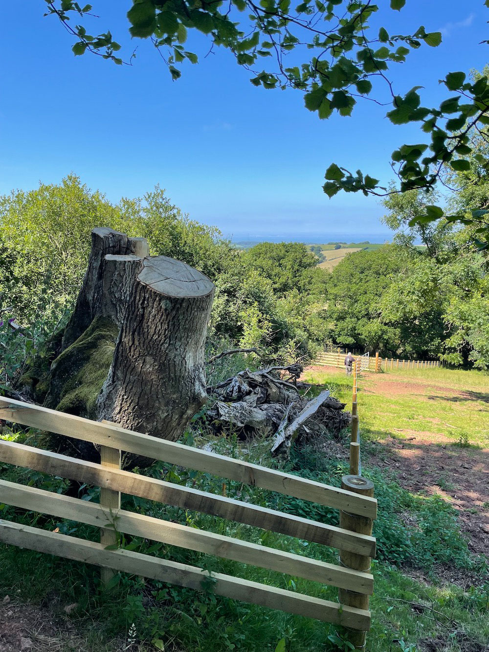 New four-bar fencing, and also wired fencing, neatly erected in a sylvan scene.