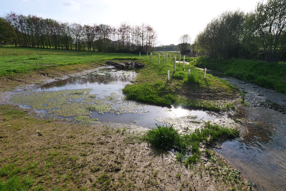 Stream flowing through a shallow valley, with a backwater looping back up the valley.