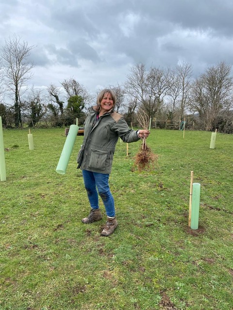A smiling woman with a tree for planting in one hand, a protective tube in the other, with other planted trees around her.