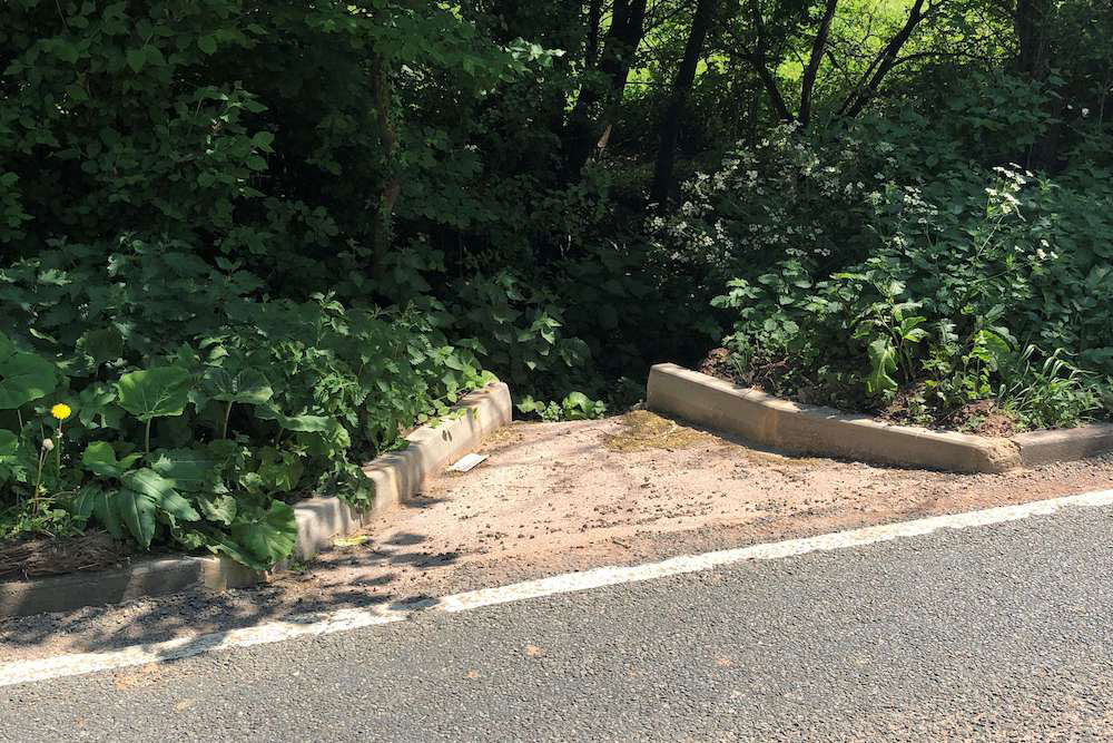 Roadside drainage grip, set into the verge with trees and a sloping green field beyond.