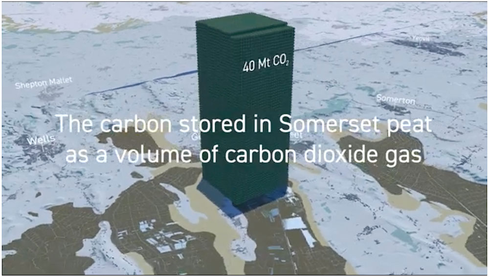 A graphic representation of part of the landscape of the Somerset Levels and Moors, with a big green tower inscribed 40 Mt CO2 and the writing "The carbon stored in Somerset peat as a volume of carbon dioxide gas".