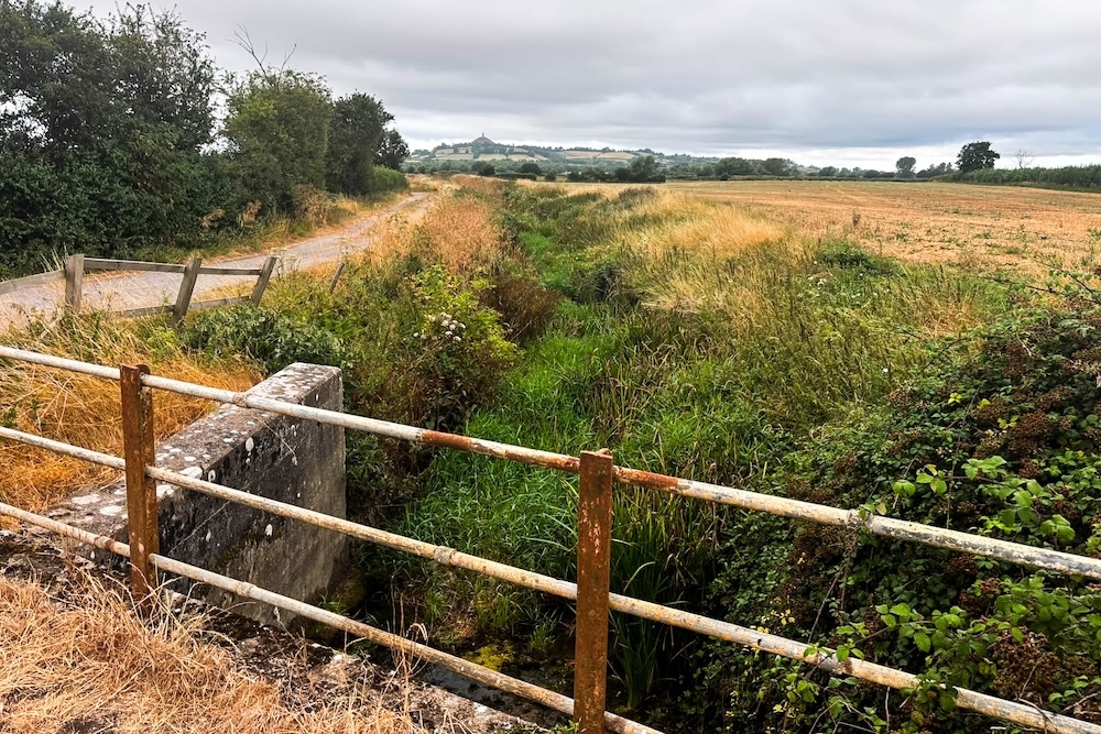 Whitelake River full of weed between a field and a track with Glastonbury Tor in the distance.